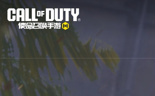 使命召唤手游